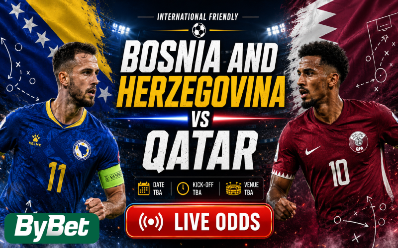 bosnia and herzegovina vs qatar